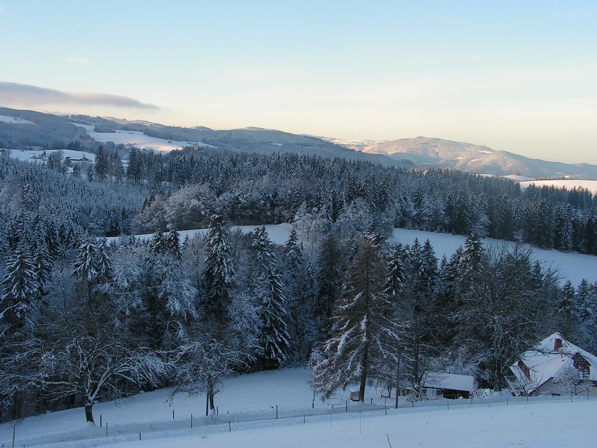 Hotel Sternen Lenzkirch Extérieur photo